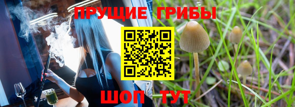Псилоцибиновые грибы GOLDEN TEACHER  Вход с VPN  Аксай 